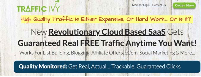 Affiliate Marketing Traffic Ivy Website Home Page