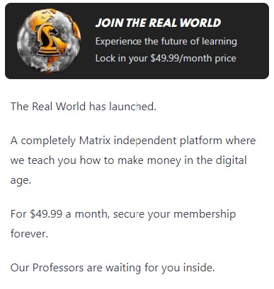 Andrew Tates The Real World Cost